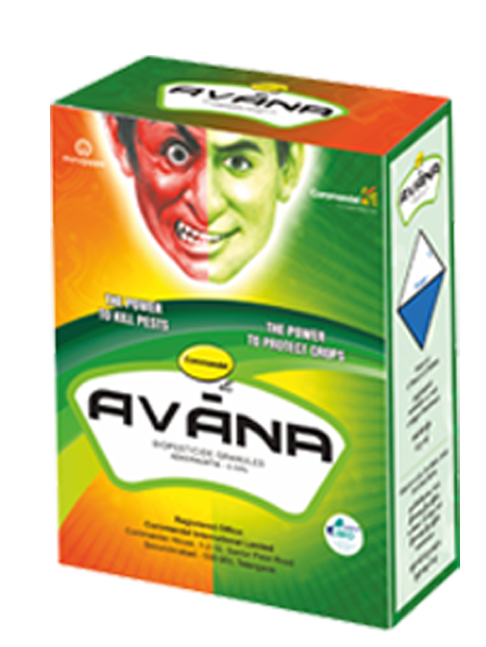 Avana